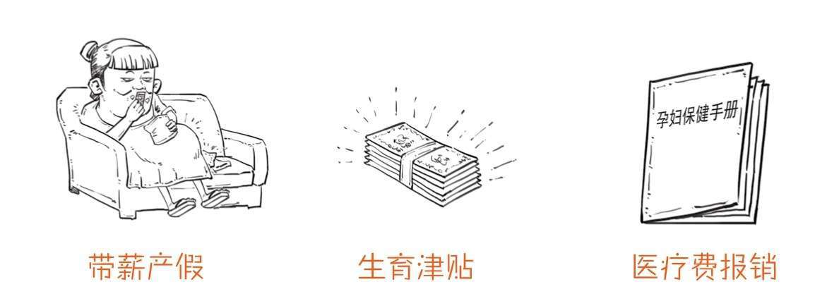 《半小时漫画经济学》| 那些年缴过的“五险一金”到底是什么？